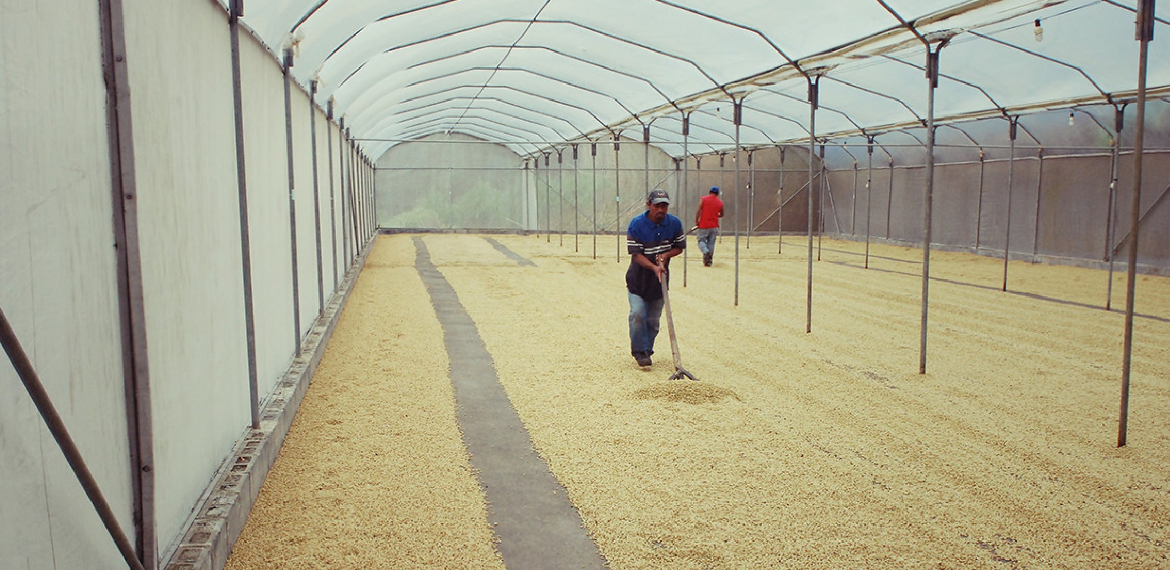 Tout - Producers: Torres Family - Slider 3