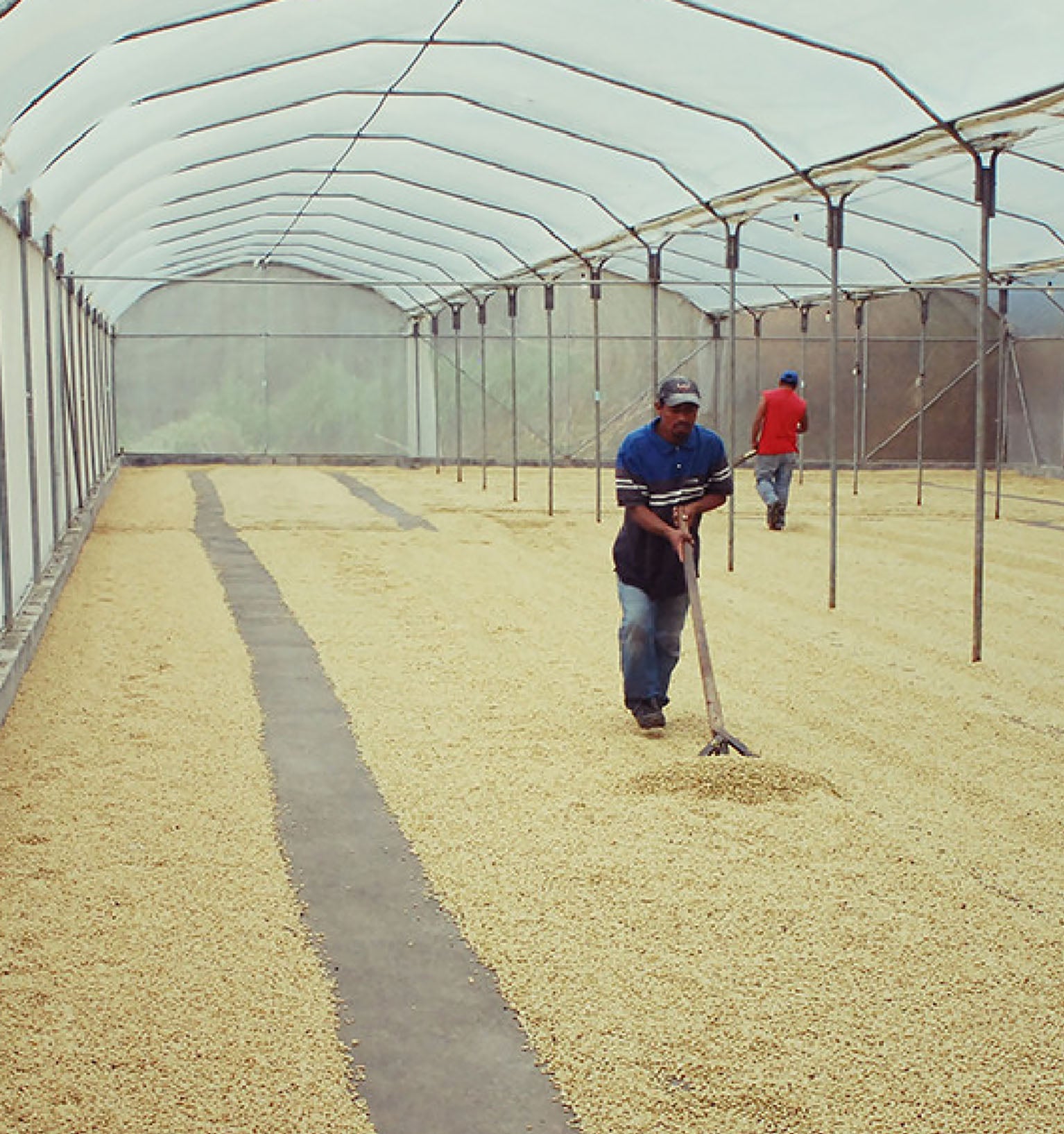 Tout - Producers: Torres Family - Slider 3