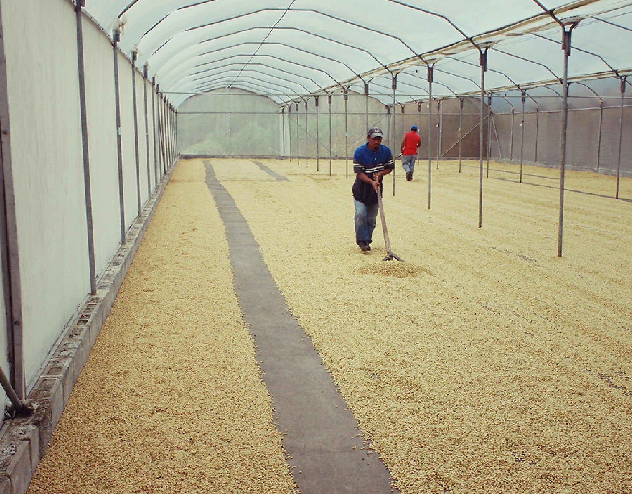 Tout - Producers: Torres Family - Slider 3