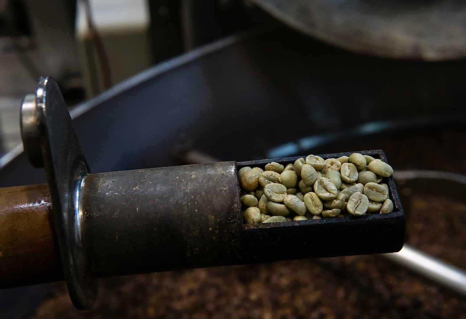 Roasted Note Coffee Roasts Explained | Stumptown Coffee Roasters